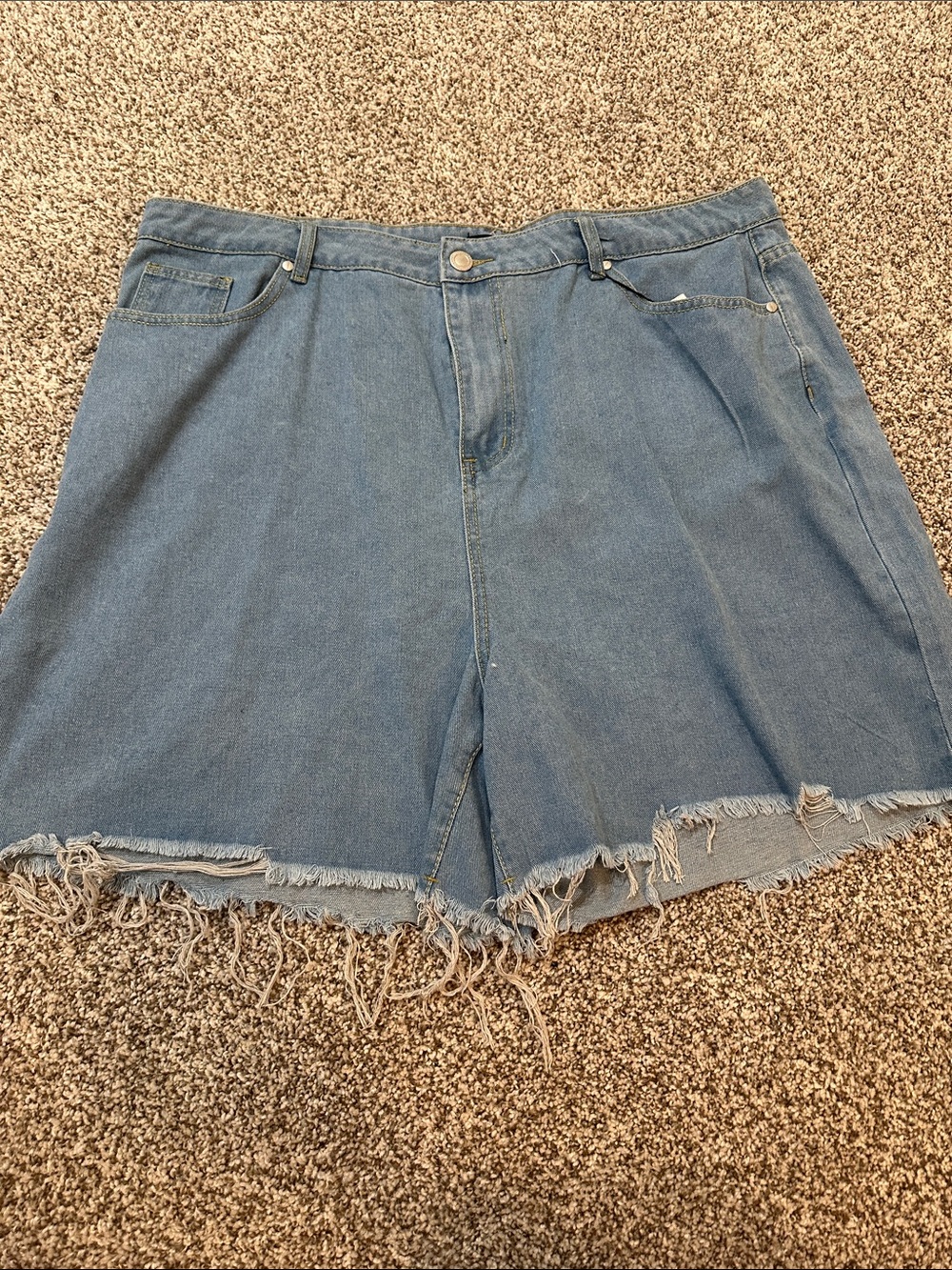 Boohoo Plus Light Blue Frayed Hem Denim Shorts